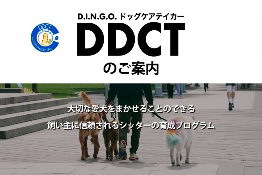 DDCT(ドッグシッター認定)取得セミナー開催 – ミキコドッグ